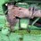 john-deere-720-image-24
