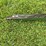 case-sickle-mower-image-5