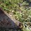 dearborn-10-158-image-14