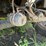 #606-•-2020-fmi-log-trailer-image-22