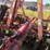 massey-ferguson-820-image-34