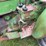 john-deere-1020-image-41