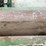 #152-•-precision-husky-16ft-vibrating-conveyor-image-12