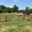 #142-•-2-strand-transfer-deck-image-6