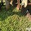 patriot-pivot-track-closer-image-10