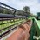 john-deere-630-image-17