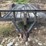 #662-•-1999-built-rite-double-axle-equipment-trailer-image-2