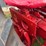 farmall-a-image-42