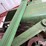 1955-john-deere-55-image-20