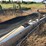 #667-•-waconia-concave-belt-conveyor-image-4