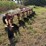 770-international-plow-image-4