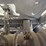 2022-xcmg-xc958u-image-57