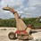 lundell-300-image-4