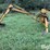 ford-3400-image-8