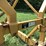 phillips-4305a-image-10
