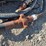 #24913-•-lot-of-hoses-inv#24913-image-13