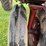 farmall-504-image-14