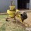 seed-cleaner-image-3