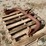 case-ih-3-image-5