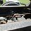 1993-mack-rd688s-image-17
