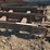 #673-•-small-transfer-deck-image-1