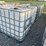 #50000-•-lot-of-(5)-poly-tanks-w/-cage-inv#50000-image-1