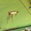 john-deere-20-image-16