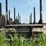 #606-•-2020-fmi-log-trailer-image-4