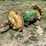 john-deere-8630-image-3