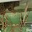 1951-john-deere-55-image-13