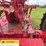 farmall-m-image-38