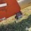 westfield-mk130-71-13"x71'-swing-hopper-grain-auger-image-13