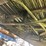2010-peerless-live-floor-image-29