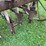 farmers-friend-drill-image-15
