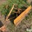 international-cub-lo-boy-image-3