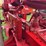 farmall-a-image-40