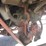 2019-broce-rc350-image-24