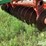 glencoe-soil-saver-image-15