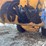 cub-cadet-2x-524-swe-snow-blower-image-13