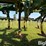 john-deere-980-image-19