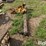international-cub-lo-boy-image-4