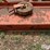 6’-3-pt-rotary-mower-image-20