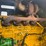 2005-john-deere-540-image-4