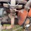 case-vao-image-27