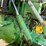 1987-john-deere-4650-image-16