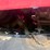 1983-massey-ferguson-4880-image-61