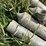 chain-link-fence-steel-posts-image-14