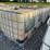 #50006-•-lot-of-(5)-poly-tanks-w/-cage-inv#50006-image-2