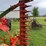 case-sickle-mower-image-19