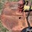 bush-hog-268-image-16